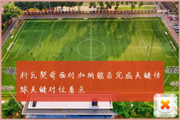 科瓦契奇面对加纳能否完成关键传球关键对位看点