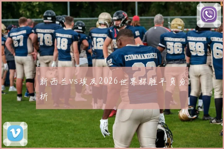 新西兰vs埃及2026世界杯胜平负分析