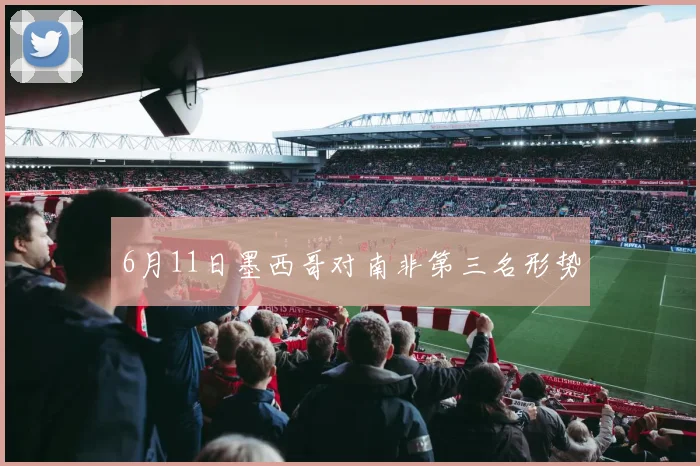 6月11日墨西哥对南非第三名形势