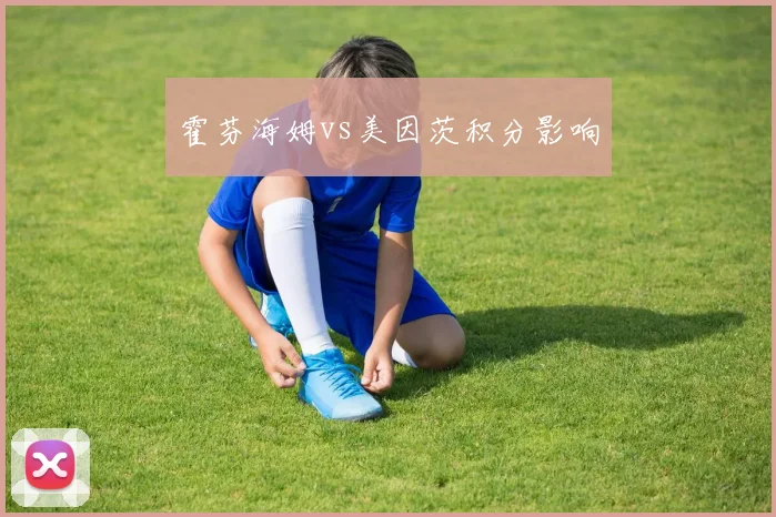 霍芬海姆vs美因茨积分影响