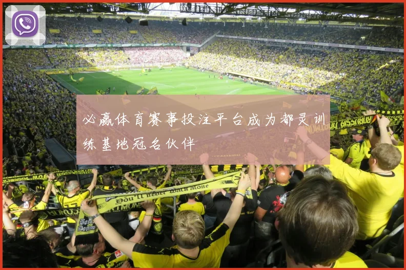 必赢体育赛事投注平台成为都灵训练基地冠名伙伴
